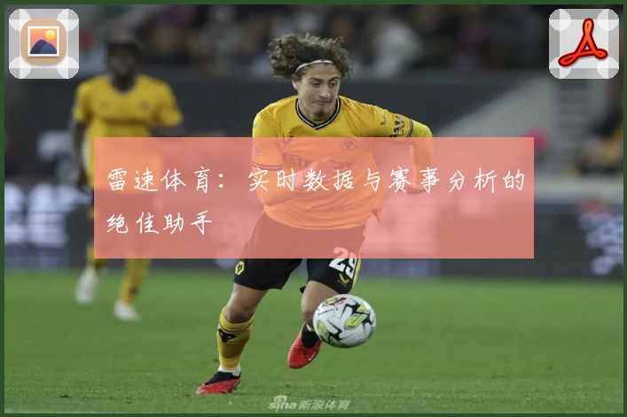 雷速体育：实时数据与赛事分析的绝佳助手